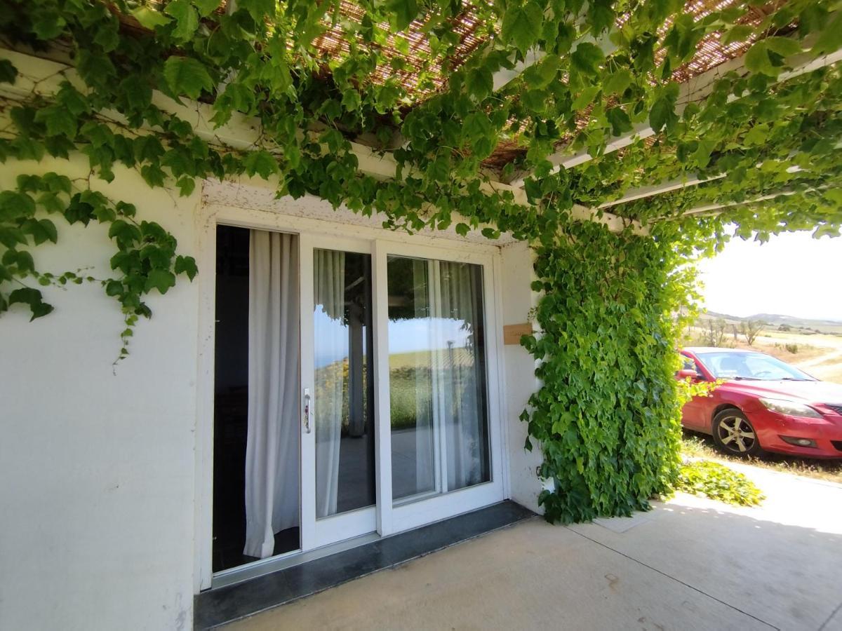 Suite Rooms In Tenuta Asinara Vineyard Sorso Exterior photo